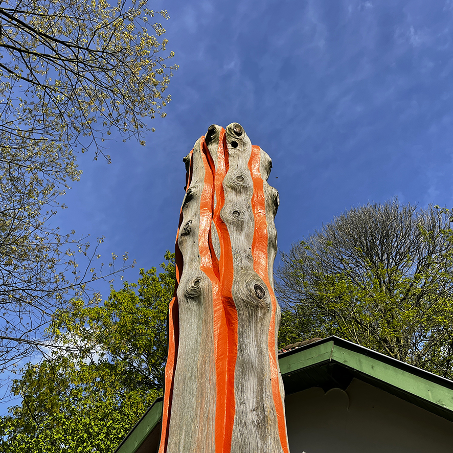 wensboom_cut